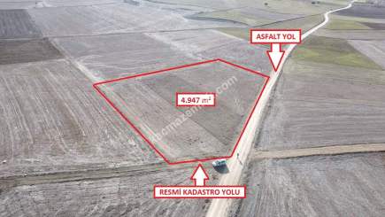 Kütahya Aslanapa Çalköy' De 4947M2 Satılık Tarla 12