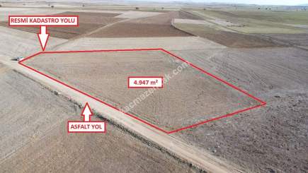 Kütahya Aslanapa Çalköy' De 4947M2 Satılık Tarla 16