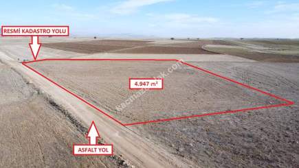 Kütahya Aslanapa Çalköy' De 4947M2 Satılık Tarla 19