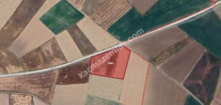 Kütahya Aslanapa Çalköy' De 4947M2 Satılık Tarla 8