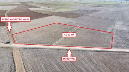 Kütahya Aslanapa Çalköy' De 4947M2 Satılık Tarla 13