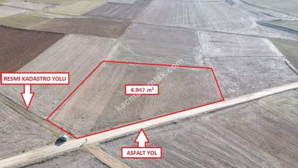 Kütahya Aslanapa Çalköy' De 4947M2 Satılık Tarla 6