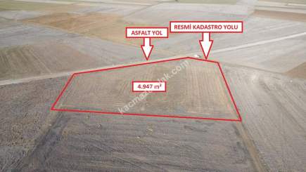 Kütahya Aslanapa Çalköy' De 4947M2 Satılık Tarla 10