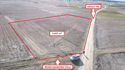 Kütahya Aslanapa Çalköy' De 4947M2 Satılık Tarla 14