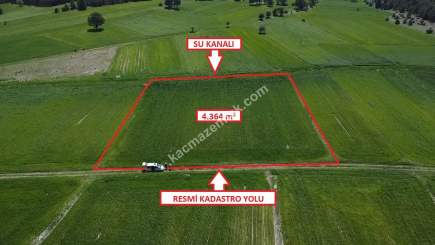 Proje Bölgesi Aslanapa'da 4.364M² Satılık Arazi 13