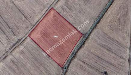 Proje Bölgesi Aslanapa'da 4.364M² Satılık Arazi 12