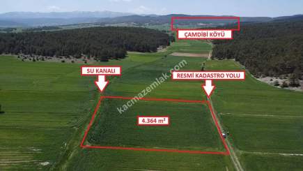 Proje Bölgesi Aslanapa'da 4.364M² Satılık Arazi 8