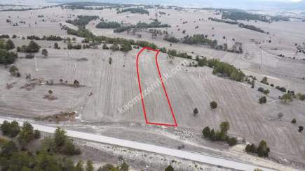 Kütahya Aslanapa Çamırdık' Da 4502 M2 Satılık Tarla 21