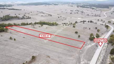 Kütahya Aslanapa Çamırdık' Da 4502 M2 Satılık Tarla 2