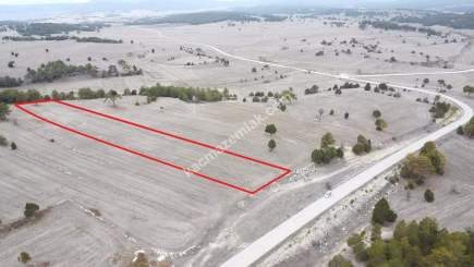 Kütahya Aslanapa Çamırdık' Da 4502 M2 Satılık Tarla 16