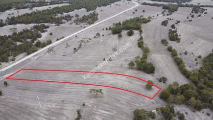 Kütahya Aslanapa Çamırdık' Da 4502 M2 Satılık Tarla 18