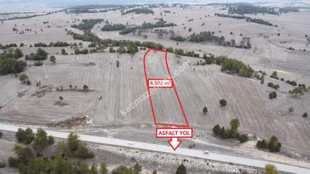 Kütahya Aslanapa Çamırdık' Da 4502 M2 Satılık Tarla 5