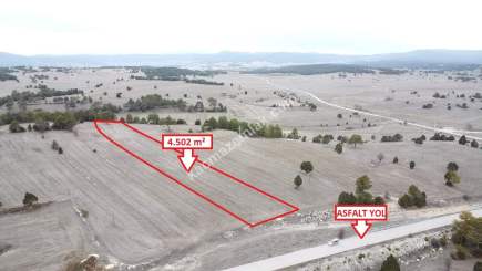 Kütahya Aslanapa Çamırdık' Da 4502 M2 Satılık Tarla 12