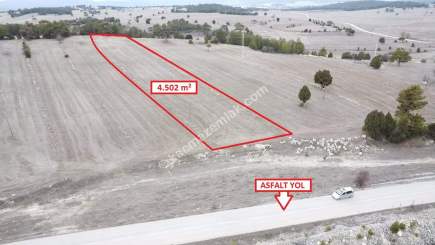 Kütahya Aslanapa Çamırdık' Da 4502 M2 Satılık Tarla 1