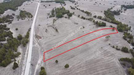 Kütahya Aslanapa Çamırdık' Da 4502 M2 Satılık Tarla 19