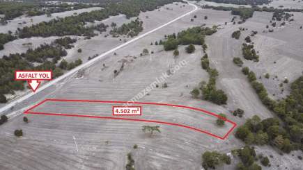 Kütahya Aslanapa Çamırdık' Da 4502 M2 Satılık Tarla 9