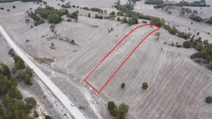 Kütahya Aslanapa Çamırdık' Da 4502 M2 Satılık Tarla 20