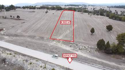 Kütahya Aslanapa Çamırdık' Da 4502 M2 Satılık Tarla 11