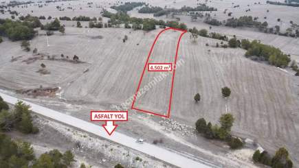 Kütahya Aslanapa Çamırdık' Da 4502 M2 Satılık Tarla 13