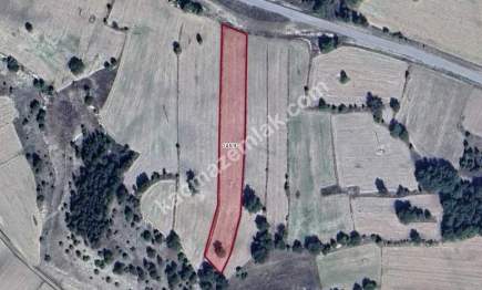 Kütahya Aslanapa Çamırdık' Da 4502 M2 Satılık Tarla 7