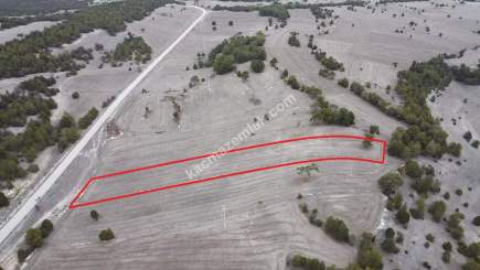 Kütahya Aslanapa Çamırdık' Da 4502 M2 Satılık Tarla 17