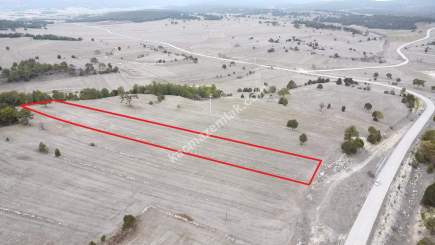 Kütahya Aslanapa Çamırdık' Da 4502 M2 Satılık Tarla 23