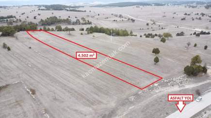 Kütahya Aslanapa Çamırdık' Da 4502 M2 Satılık Tarla 10