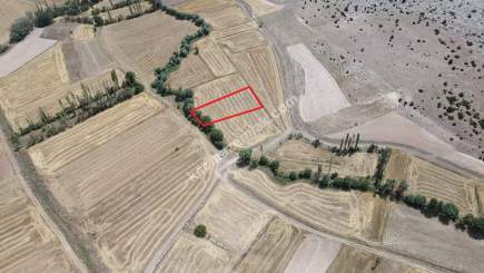 Kütahya Aslanapa Çukurca Köyü 1431 M2 Satılık Tarla 22