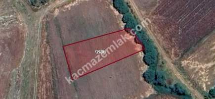 Kütahya Aslanapa Çukurca Köyü 1431 M2 Satılık Tarla 6