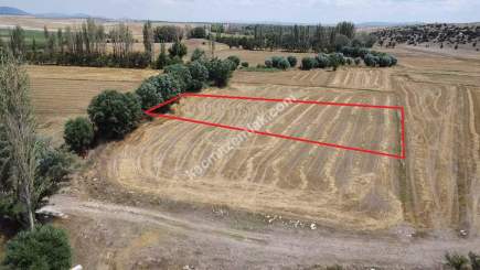 Kütahya Aslanapa Çukurca Köyü 1431 M2 Satılık Tarla 21