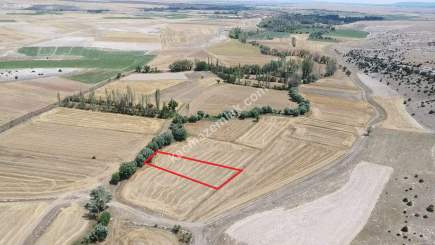 Kütahya Aslanapa Çukurca Köyü 1431 M2 Satılık Tarla 25