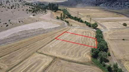 Kütahya Aslanapa Çukurca Köyü 1431 M2 Satılık Tarla 18