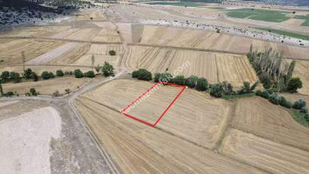 Kütahya Aslanapa Çukurca Köyü 1431 M2 Satılık Tarla 26