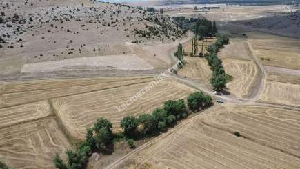 Kütahya Aslanapa Çukurca Köyü 1431 M2 Satılık Tarla 27