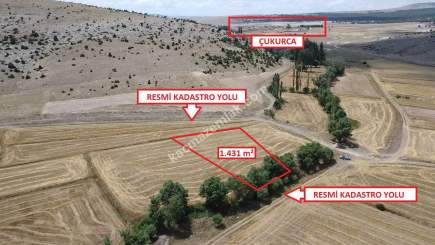 Kütahya Aslanapa Çukurca Köyü 1431 M2 Satılık Tarla 9