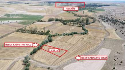 Kütahya Aslanapa Çukurca Köyü 1431 M2 Satılık Tarla 3