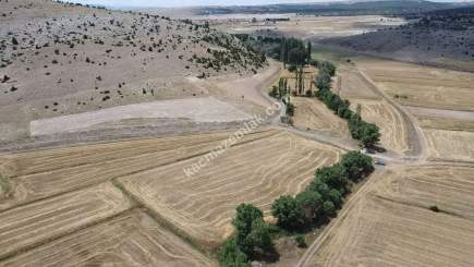 Kütahya Aslanapa Çukurca Köyü 1431 M2 Satılık Tarla 20