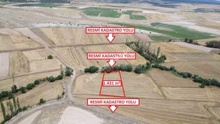 Kütahya Aslanapa Çukurca Köyü 1431 M2 Satılık Tarla 17