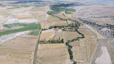 Kütahya Aslanapa Çukurca Köyü 1431 M2 Satılık Tarla 28