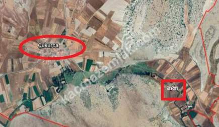 Kütahya Aslanapa Çukurca Köyü 1431 M2 Satılık Tarla 7