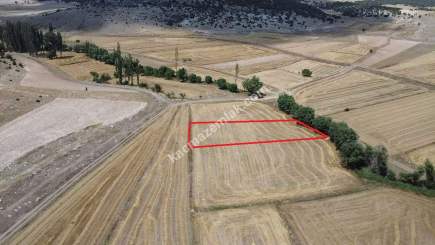 Kütahya Aslanapa Çukurca Köyü 1431 M2 Satılık Tarla 24