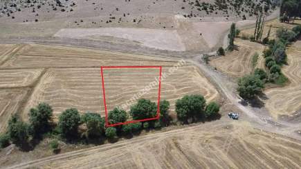 Kütahya Aslanapa Çukurca Köyü 1431 M2 Satılık Tarla 19