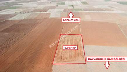 Kütahya Aslanapa Cumhuriyet' De 3997 M2 Satılık Tarla 16