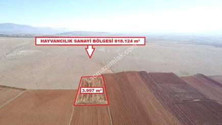 Kütahya Aslanapa Cumhuriyet' De 3997 M2 Satılık Tarla 5