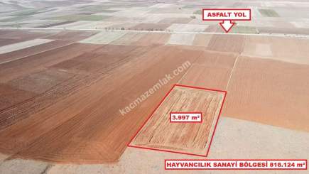 Kütahya Aslanapa Cumhuriyet' De 3997 M2 Satılık Tarla 14