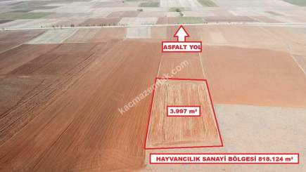 Kütahya Aslanapa Cumhuriyet' De 3997 M2 Satılık Tarla 9