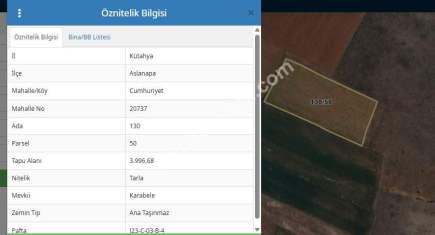 Kütahya Aslanapa Cumhuriyet' De 3997 M2 Satılık Tarla 6