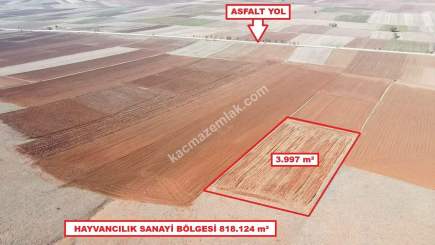 Kütahya Aslanapa Cumhuriyet' De 3997 M2 Satılık Tarla 13