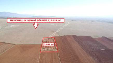 Kütahya Aslanapa Cumhuriyet' De 3997 M2 Satılık Tarla 15