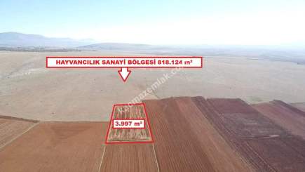 Kütahya Aslanapa Cumhuriyet' De 3997 M2 Satılık Tarla 12